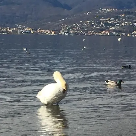 L'angolo Dei Pescatori Hotel Cerro (Laveno-Mombello)